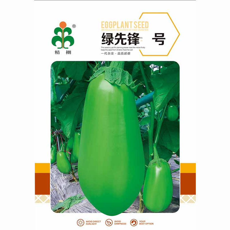 绿皮茄子杂交耐热绿皮白肉绿先号基地品种