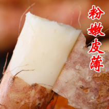 河南三门峡山药铁棍山药产地一件代发量大从优诚信合作欢迎来电
