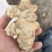 2025年新鲜灵宝洋姜，红皮白皮产地直供，品质保证