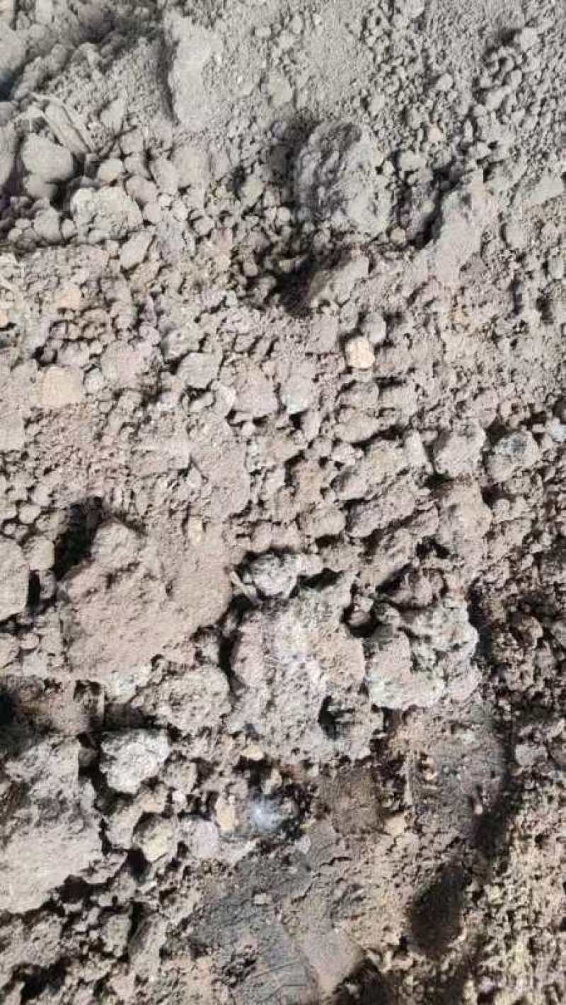 羊粪风干羊粪产地直销