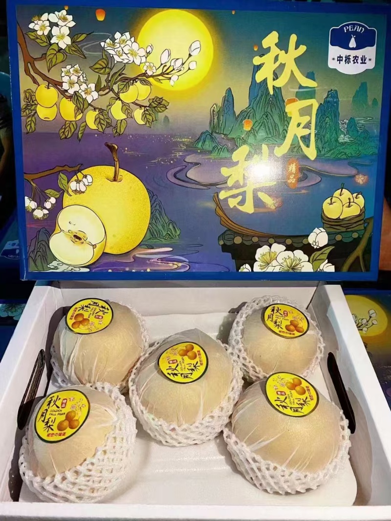 【优质梨子】-秋月梨-产地直发-价格优惠-可对接电商商超
