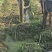 广西黑皮甘蔗，现货现挖，甘蔗基地直供，诚信合作！