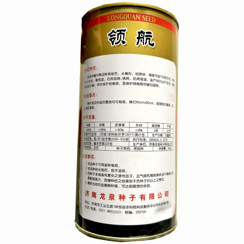 领航中熟品种绿色芸豆种子长棒形四季豆基地品种