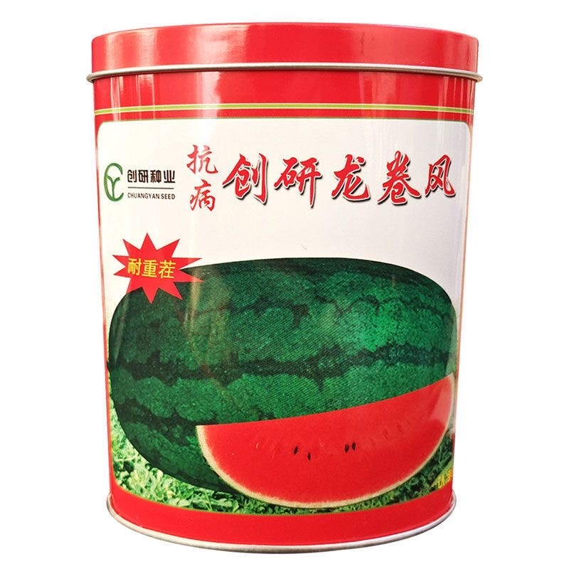 创研龙卷风西瓜种子抗病耐重茬果肉大红脆瓢多汁西瓜种籽