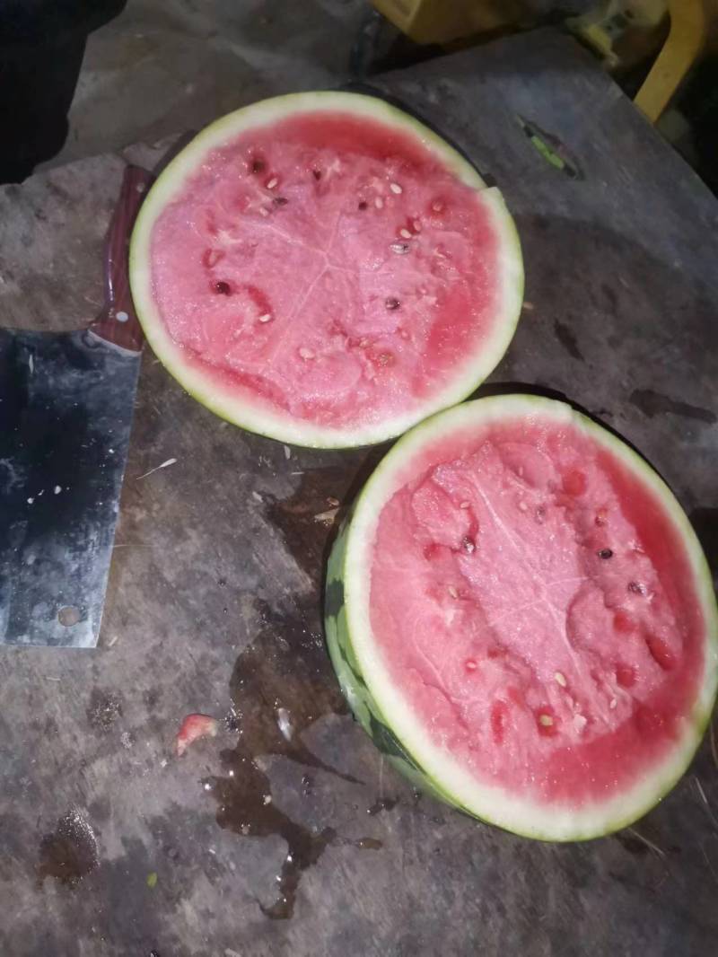 云南麒麟西瓜一件代发产地直发一手货源对接各大电商平台