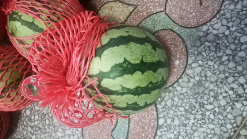 云南麒麟西瓜一件代发产地直发一手货源对接各大电商平台