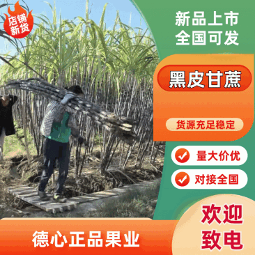 【全网低价】黑皮甘蔗专业代办诚信报价全国发货