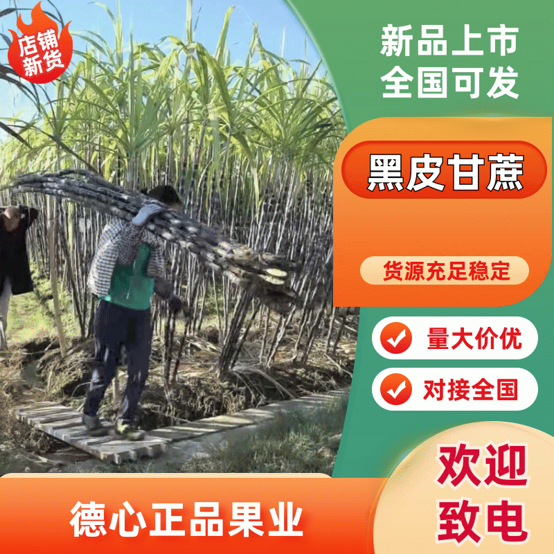 【全网低价】黑皮甘蔗专业代办诚信报价全国发货