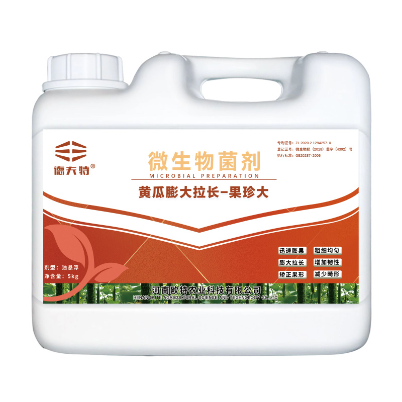 厂家直销黄瓜专用肥果珍大
