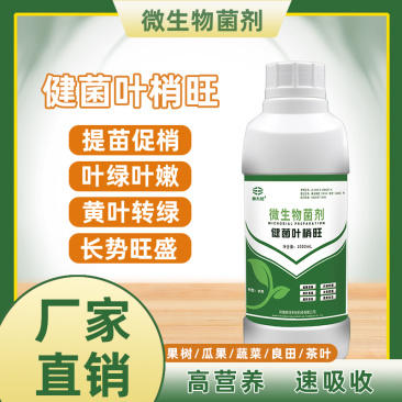 厂家直销叶梢旺稍微生物菌剂
