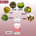 厂家直销促花催芽花满枝微生物菌剂