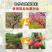 厂家直销保花保果花果灵微生物菌剂