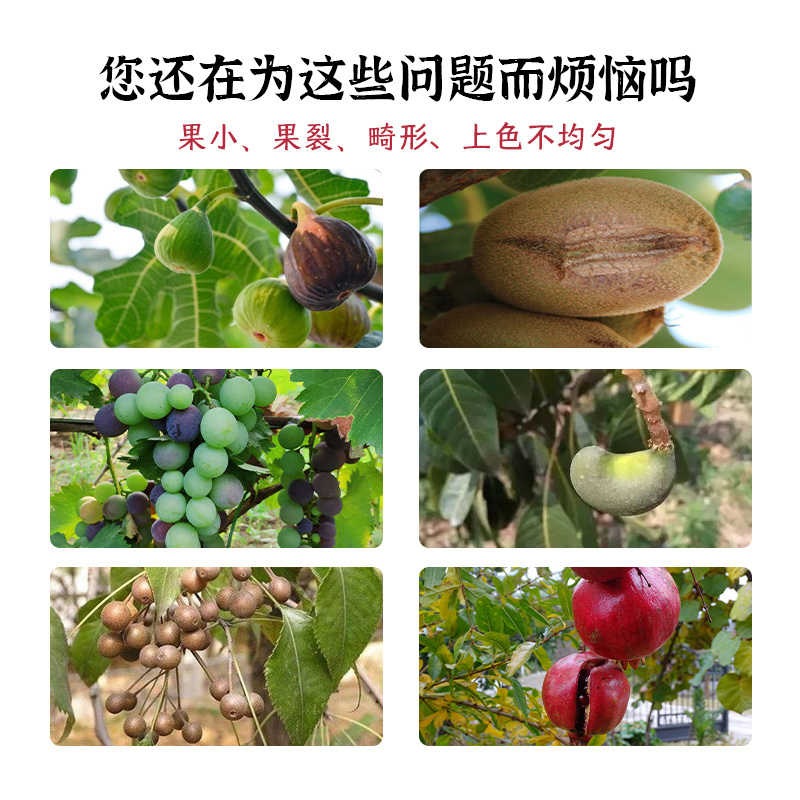 厂家直销膨果防裂果优优微生物菌剂