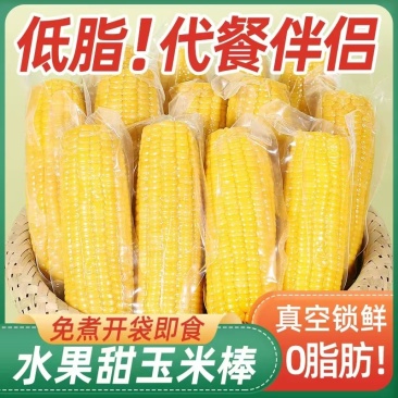 精品花糯甜玉米好吃不贵减脂可用量大价优欢迎致电咨询