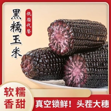 精品真空糯玉米软糯香甜真空包装量大价优电商对接