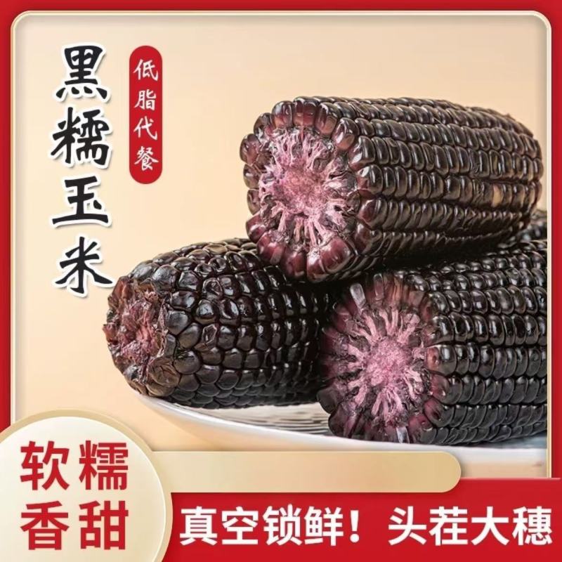 精品真空糯玉米软糯香甜真空包装量大价优电商对接