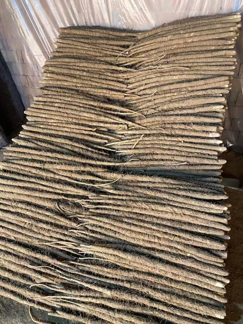 小白嘴【山药】山药产地直供，对接全国各大批发市场超市，电商