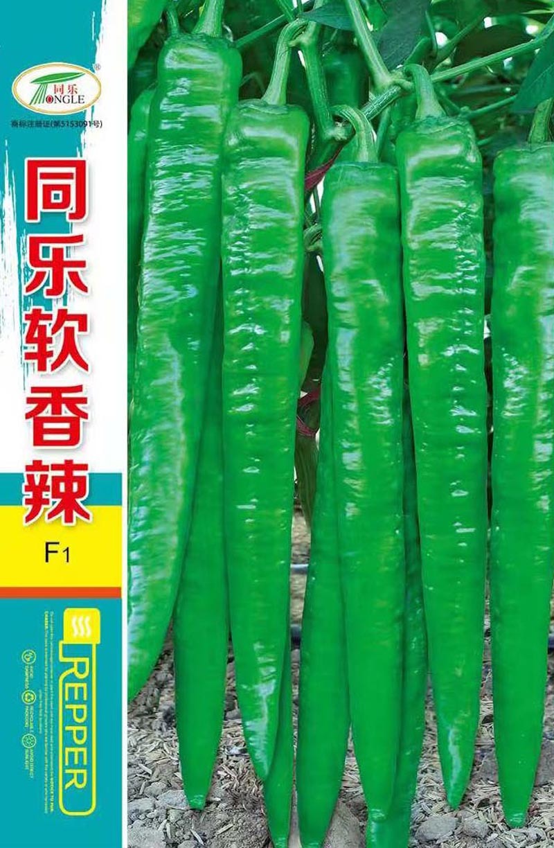 同乐软香辣青皮绿皮软皮尖椒辣椒种子一袋一千粒包邮