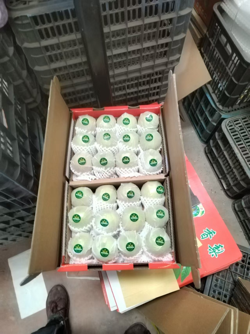 新疆库尔勒香梨产地一手货源一件代发新年礼盒公司福利量大优