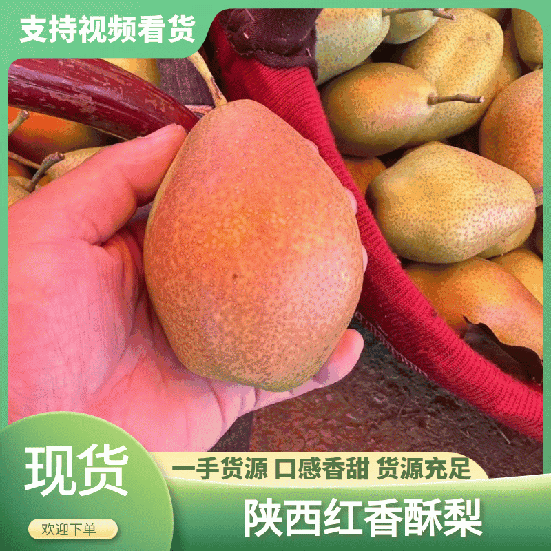 【品质保证】陕西红香酥梨对接商超，电商，市场，社区团购