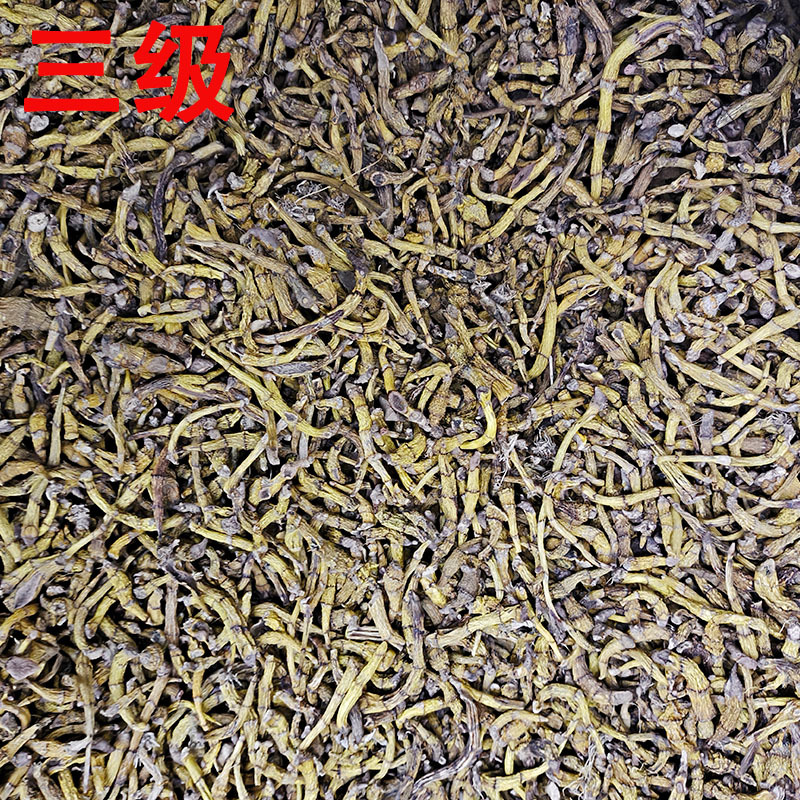 虎牙石斛金叉石斛产地货源