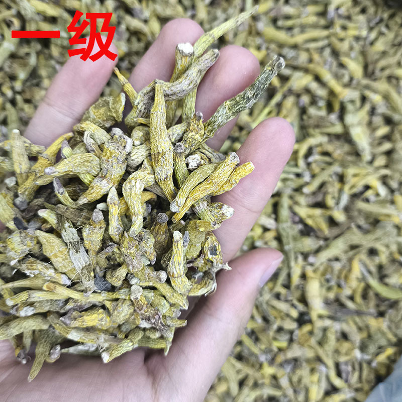 虎牙石斛金叉石斛产地货源