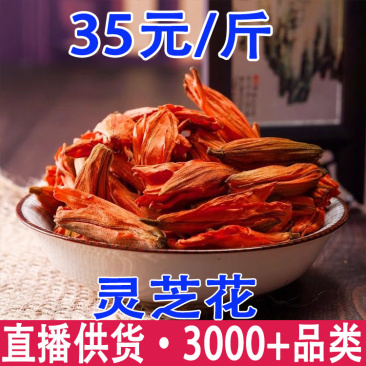 灵芝花新疆摩罗花灵芝花茶产地货源