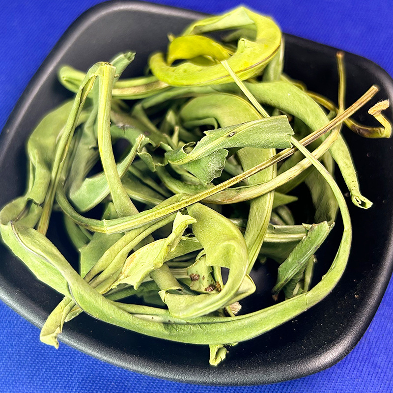 大叶化石草化石草