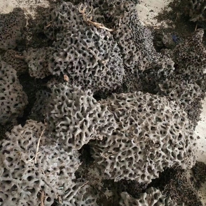 蚂蚁窝蚂蚁巢黑蚂蚁窝产地货源一件代发
