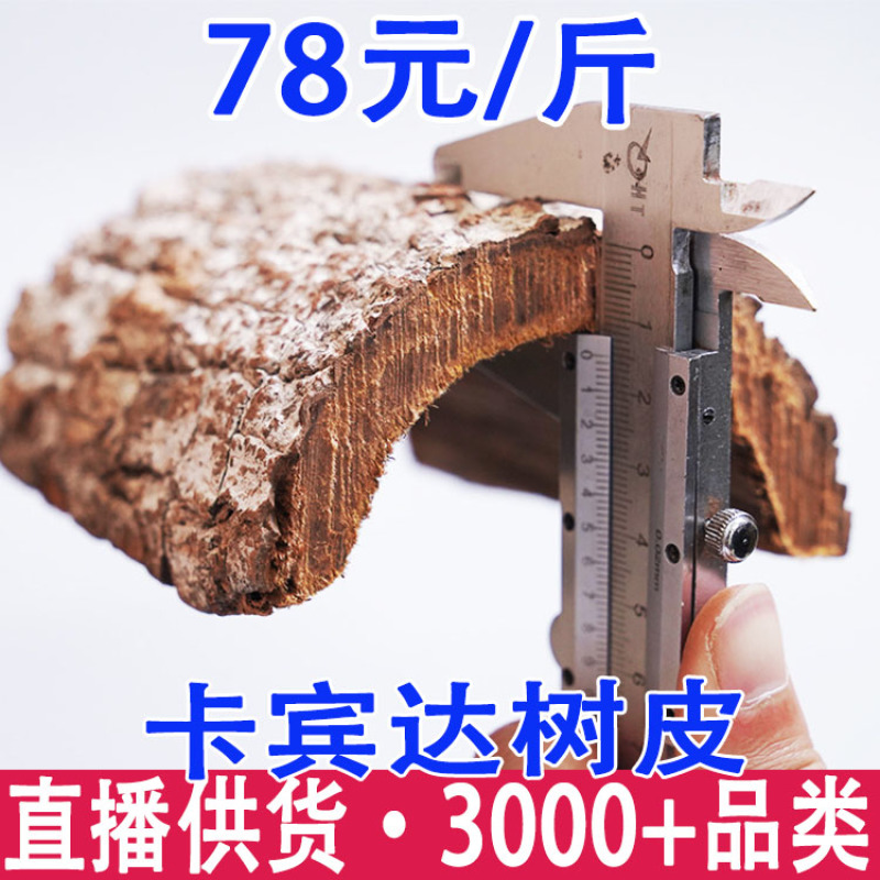 拉卡宾达树皮安哥拉卡宾达树皮卡宾达树皮一件代发有一