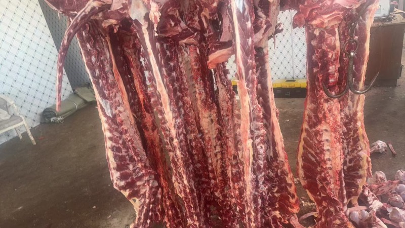 鲜牛肉，量大从优，品质保证，欢迎致电