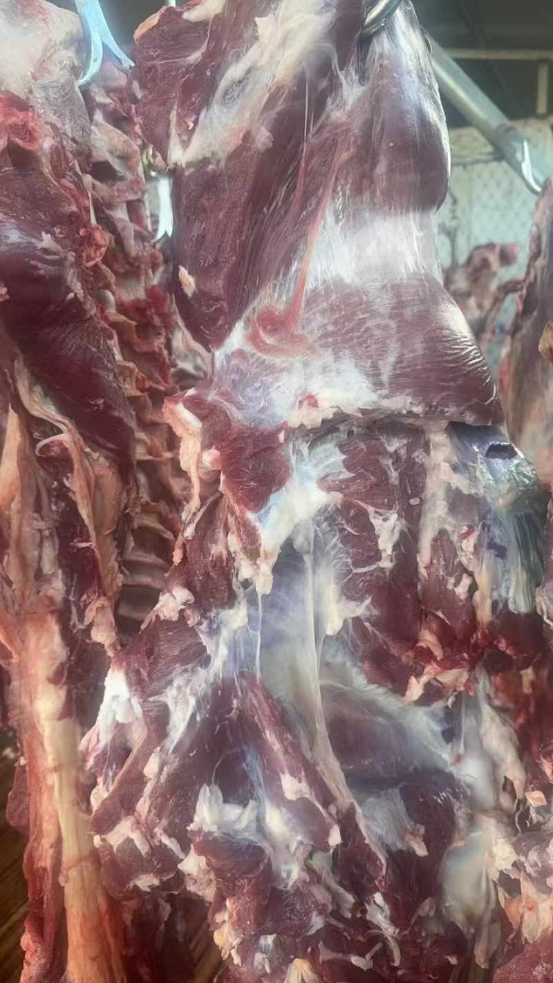 鲜牛肉，量大从优，品质保证，欢迎致电