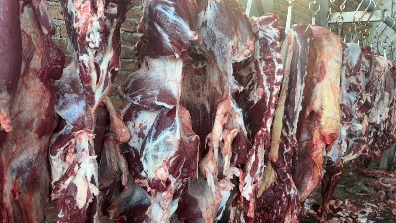 鲜牛肉，量大从优，品质保证，欢迎致电