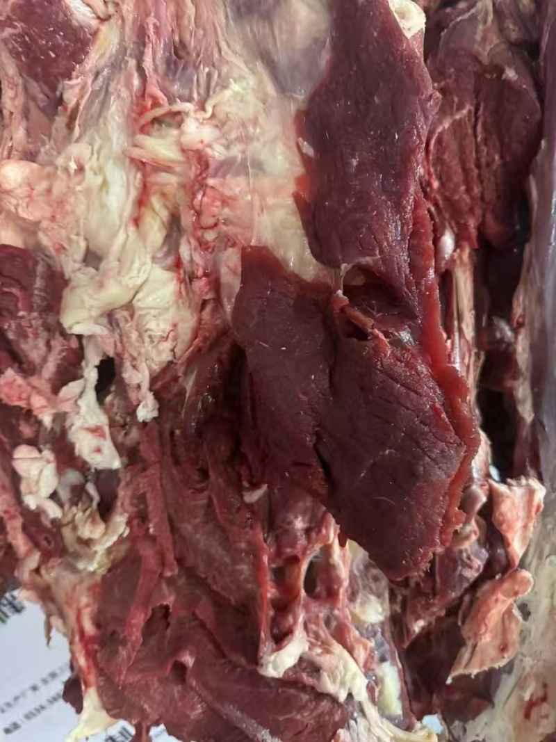 鲜牛肉，量大从优，品质保证，欢迎致电