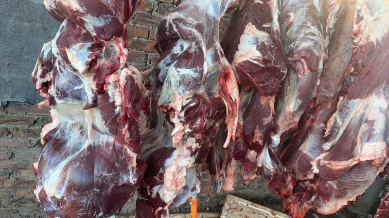 鲜牛肉，量大从优，品质保证，欢迎致电