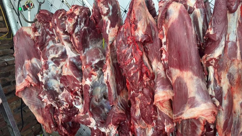 鲜牛肉，量大从优，品质保证，欢迎致电