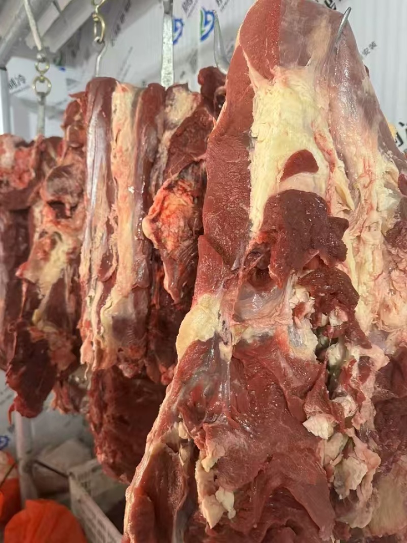 鲜牛肉，量大从优，品质保证，欢迎致电