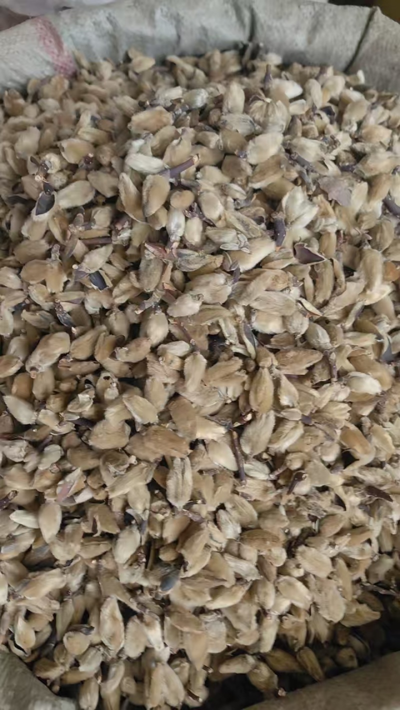 辛荑花中药材泡水喝正宗香料辛荑花毛桃量大从优