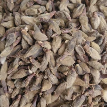 辛荑花中药材泡水喝正宗香料辛荑花毛桃量大从优