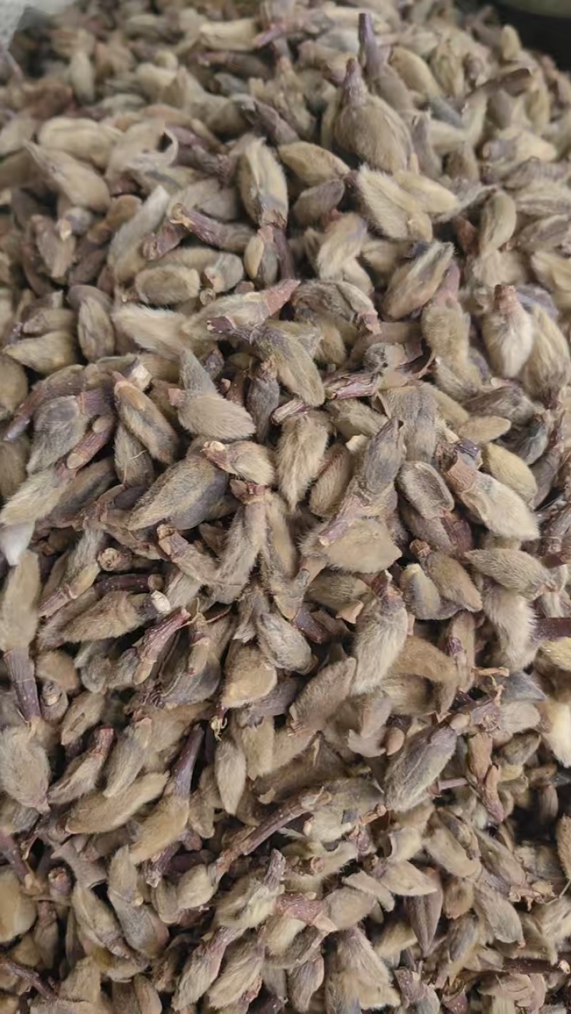 辛荑花中药材泡水喝正宗香料辛荑花毛桃量大从优