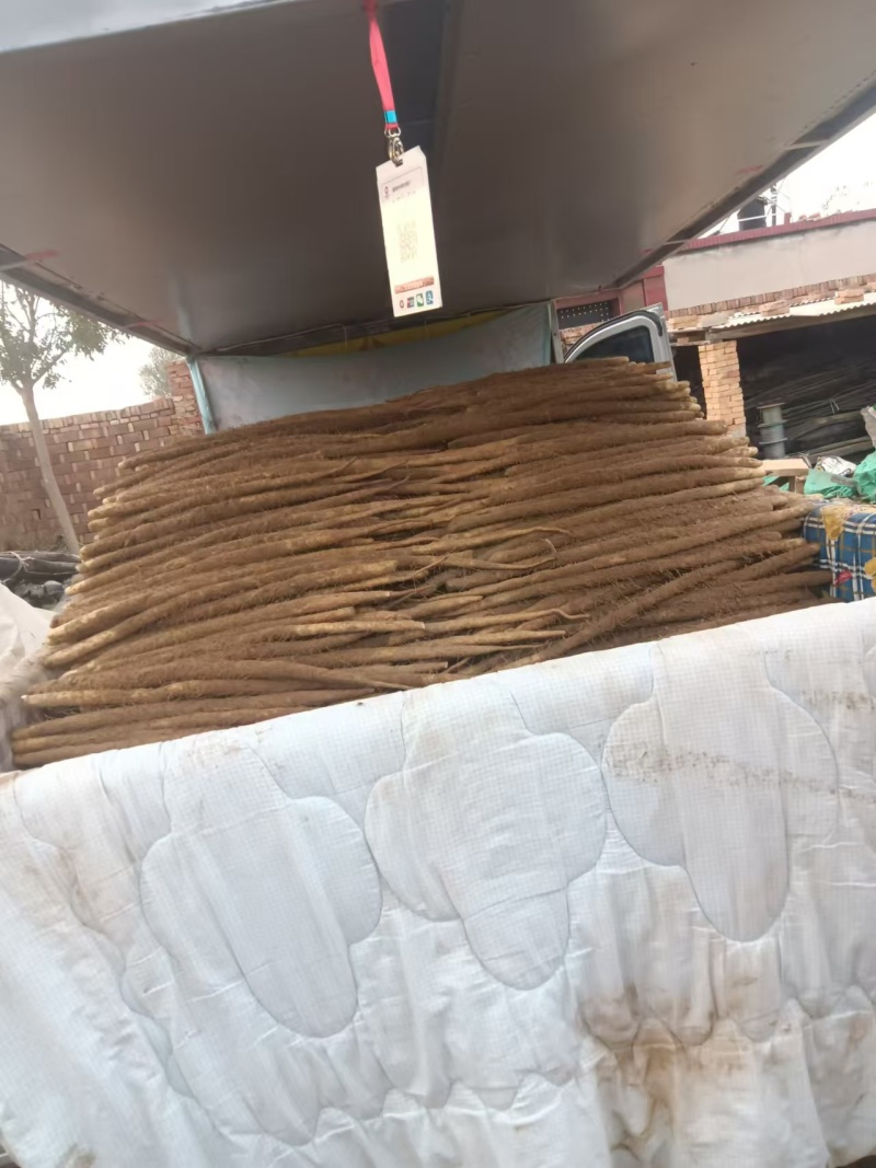 【牛商实力推荐】小白嘴山药，软糯香甜大量现货