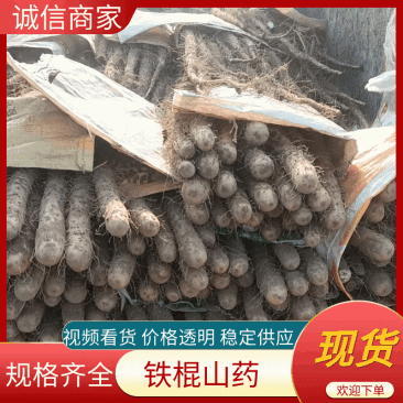 铁棍山药基地供应量大质优价格优惠一手货源欢迎采购