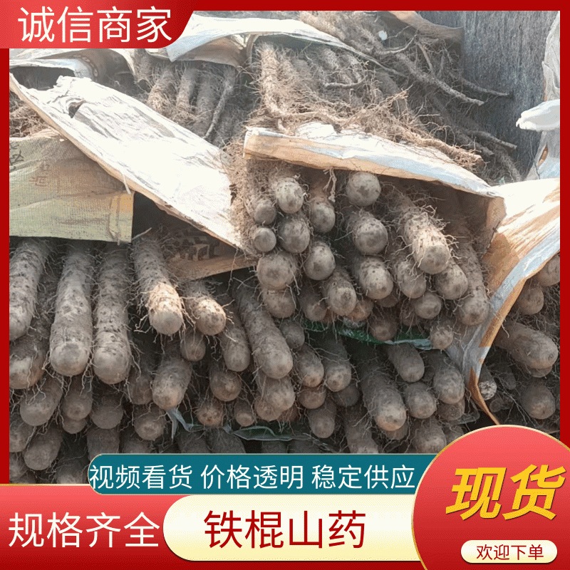 铁棍山药基地供应量大质优价格优惠一手货源欢迎采购