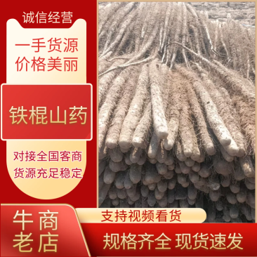 精品铁棍山药基地供应全国直销一手货源支持视频看货