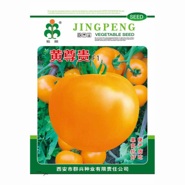 黄色大西红柿种子黄尊贵沙瓤大黄柿子种子老品种西红柿