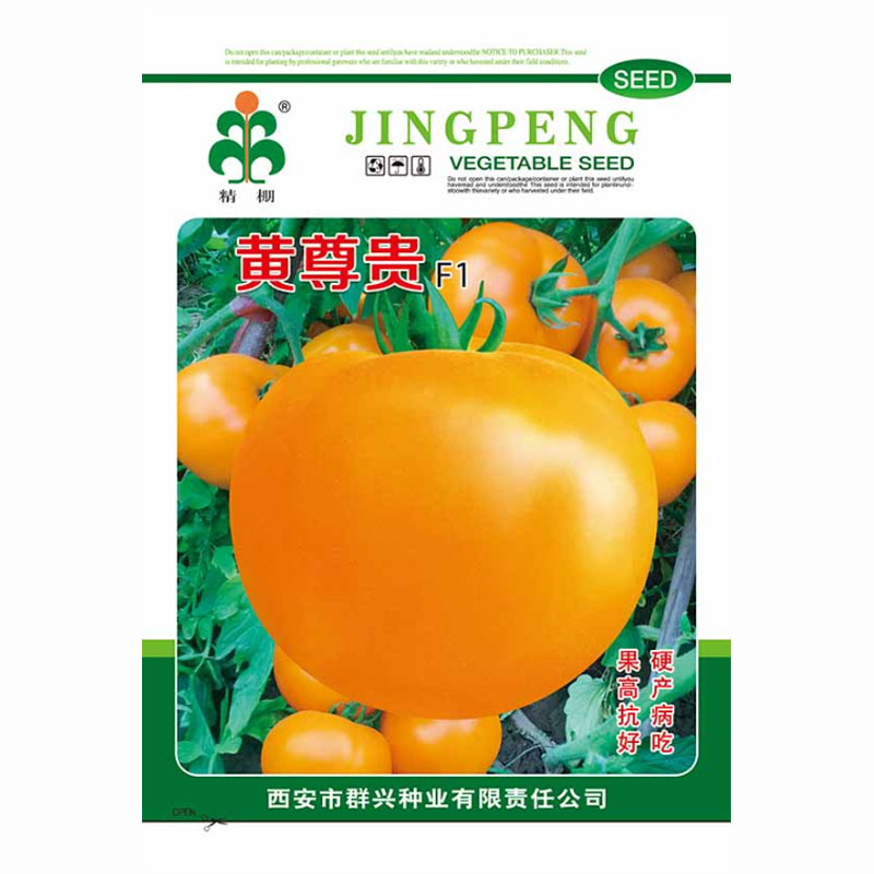 黄色大西红柿种子黄尊贵沙瓤大黄柿子种子老品种西红柿