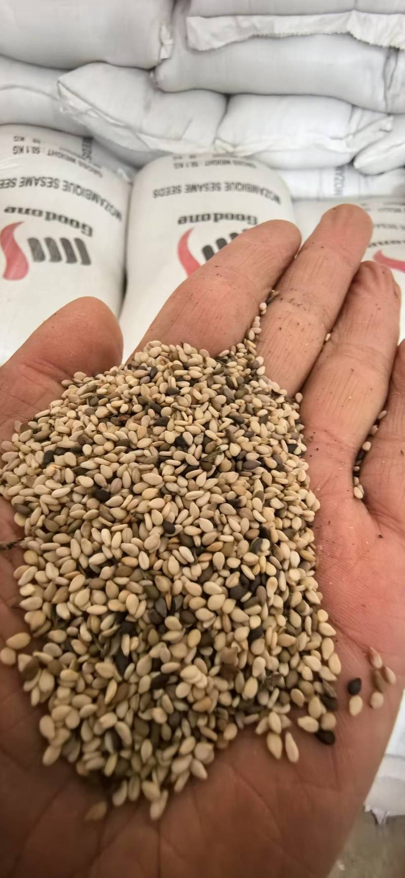 面向全国出售几毛钱一斤芝麻饼大量上市质高价优欢迎来电洽谈