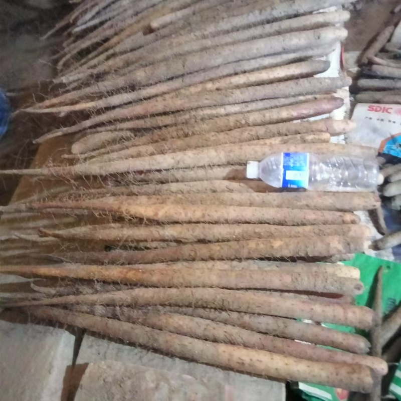 【推荐】精品河北双棒山药产地一手货源价格美丽欢迎咨询