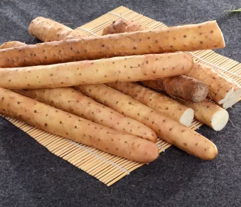 【精品】保定麻山药口感软糯一手货源价格美丽