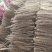 麻山药，内黄县麻山药大量上市欢迎新老客户前来选购